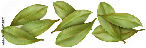 bay leaves
