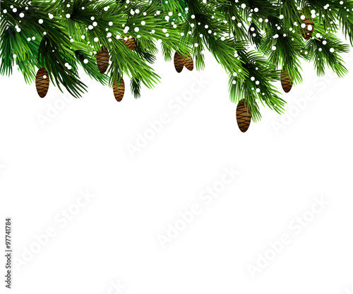 Pine branches with cones 