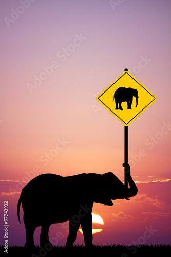 attention to the elephant