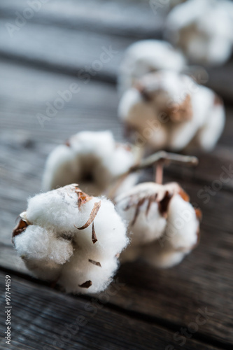Cotton on the wooden background