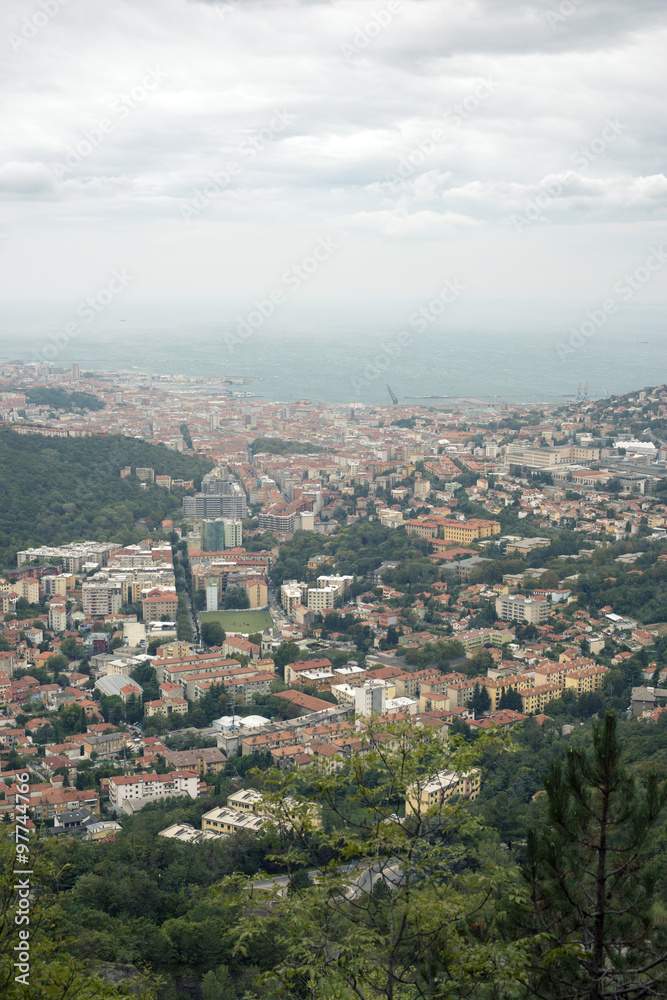Trieste from above