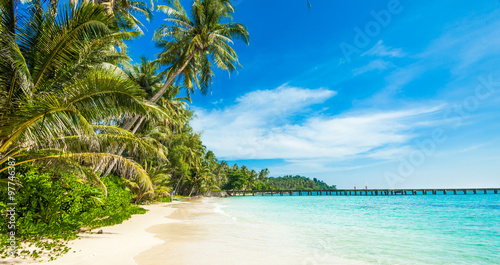 tropical beach.  sea and coconut palm.  Landscape of paradise tr