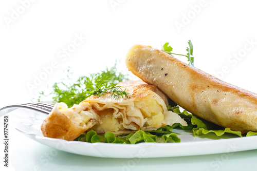 fried stuffed spring rolls on a plate photo