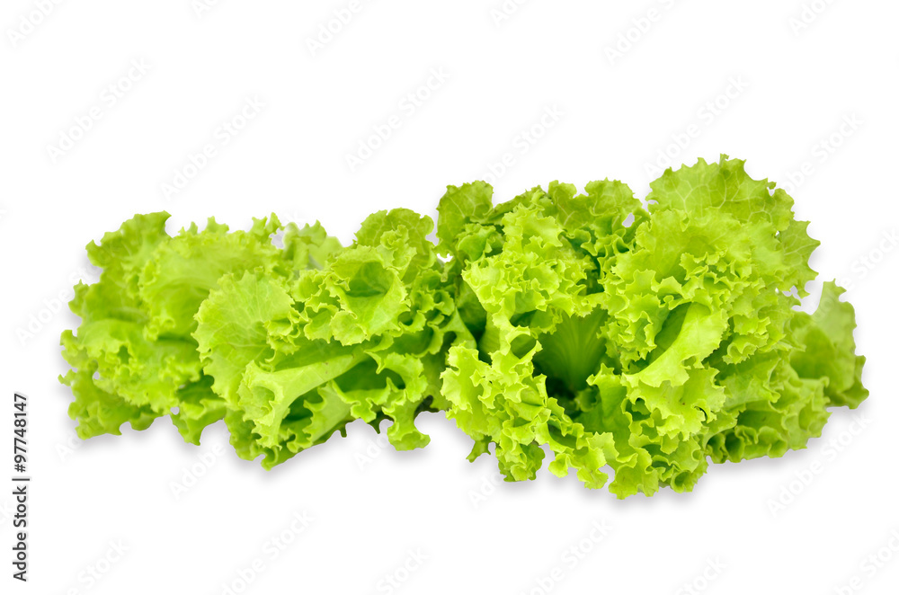 lettuce lettuce