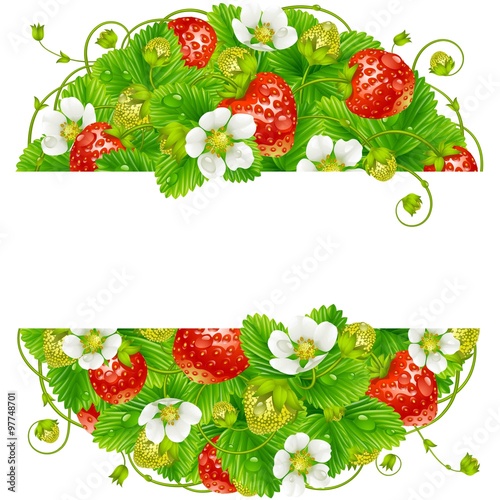 Vector strawberry round frame. Circle composition of ripe red berries