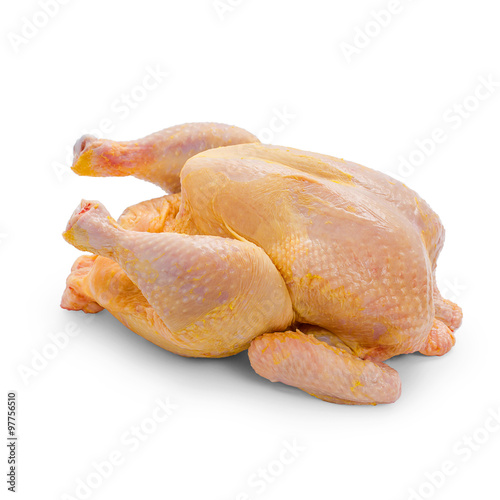 Corn-fed chicken on white background