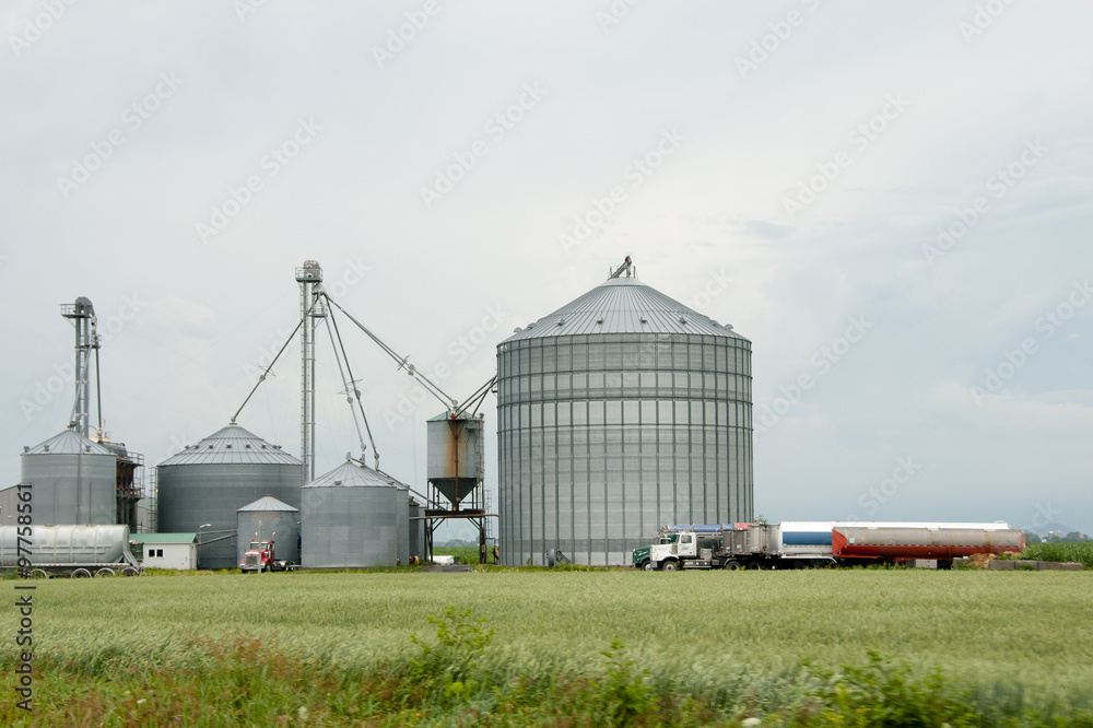 Farm Silos - Quebec - Canada