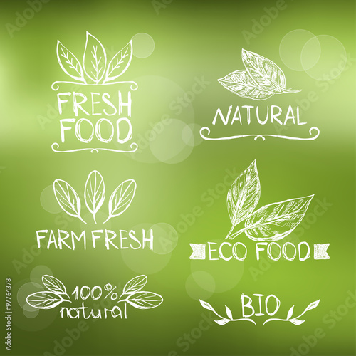 Set of hand drawn logos on the green blurred background