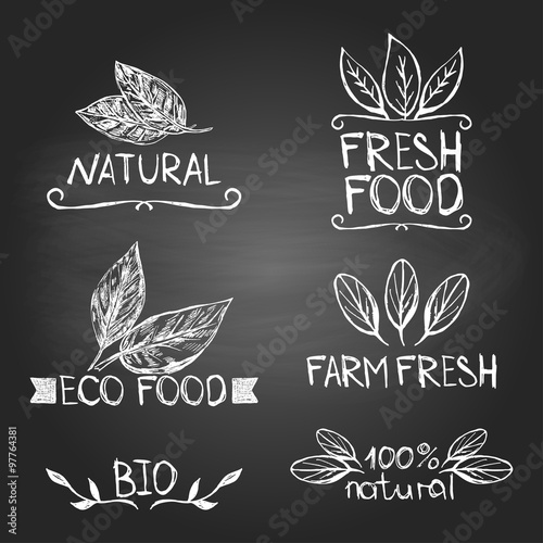 Set of sketched nature logos on the blackboard