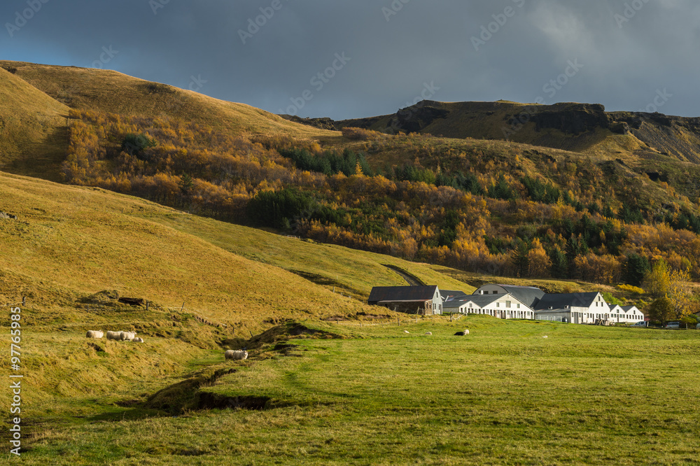 Farmhouse with field and pine tree surround mountain range background in Autumn season