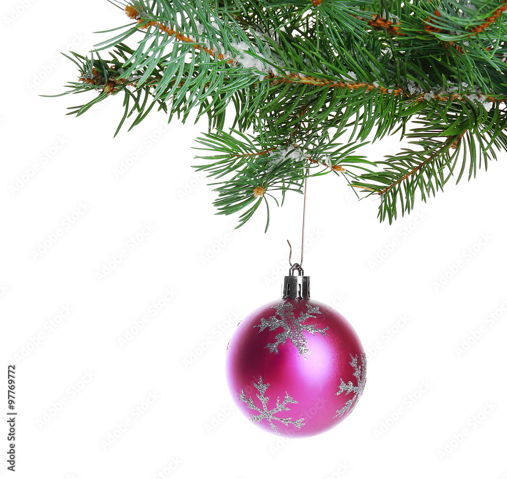 Christmas bauble on a fir branch, isolated on white Christmas bauble on a fir branch, isolated on white