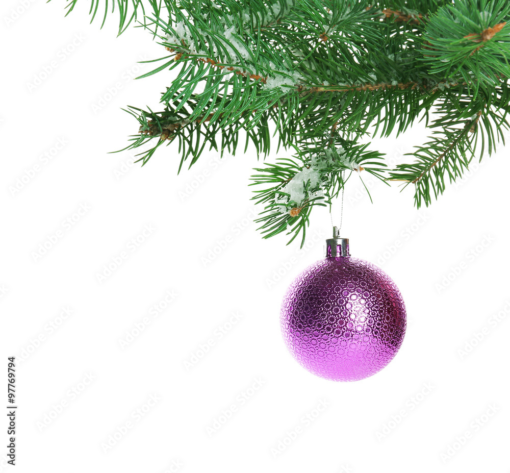 Christmas bauble on a fir branch, isolated on white Christmas bauble on a fir branch, isolated on white