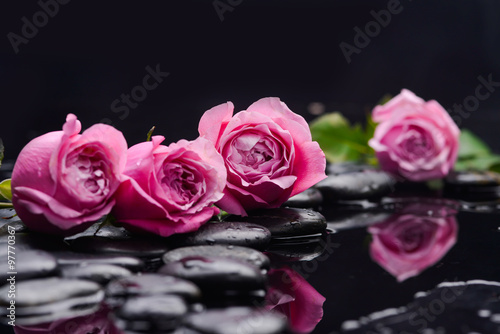 Set of four pink rose with therapy stones 