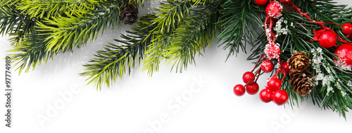 Christmas tree branch with red berries on white background