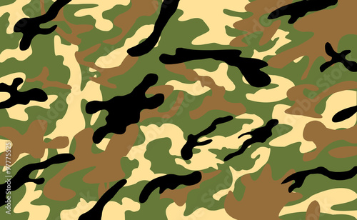 Army/Military Camouflage Pattern Background