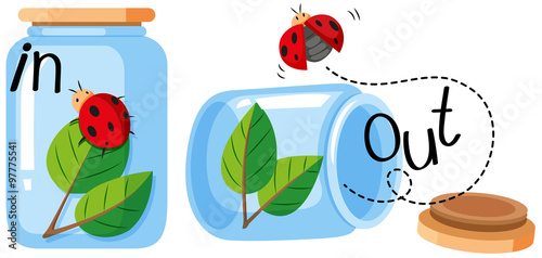 Ladybug in and out of the jar