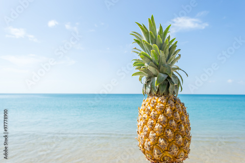 pineapple in hand with beautiful beach and blue sky background
