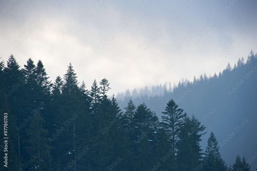 Carpathians Mountains in the mist