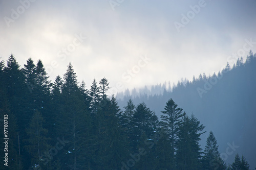 Fototapeta Naklejka Na Ścianę i Meble -  Carpathians Mountains in the mist