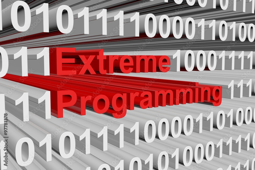Extreme Programming is presented in the form of binary code
