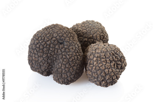 Black truffle group isolated on white, clipping path included