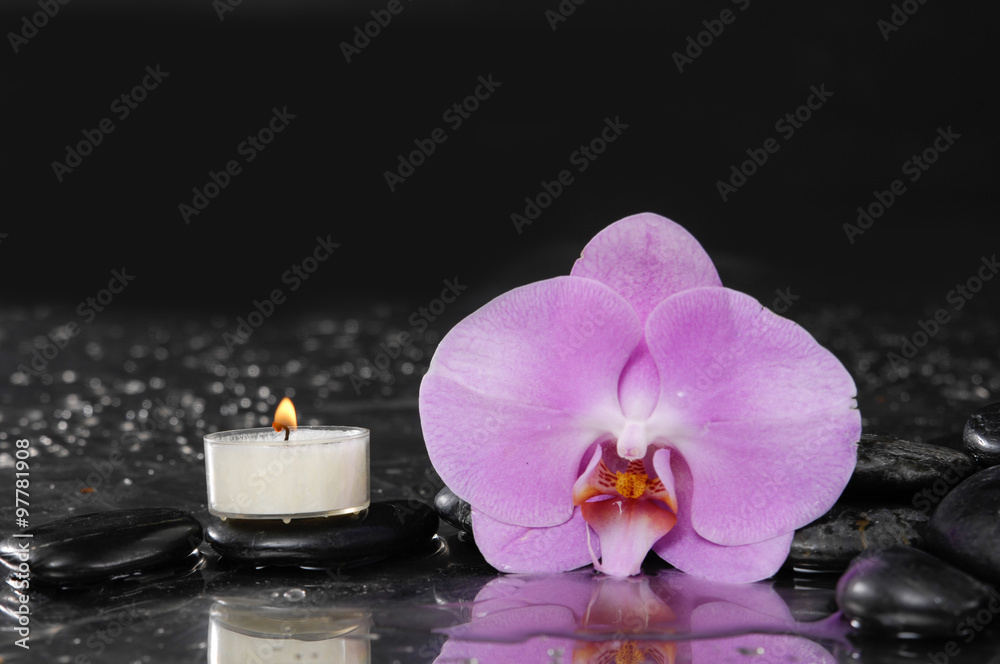 tranquil spa scene- orchid with black stones with candle tranquil spa scene- orchid with black stones with candle