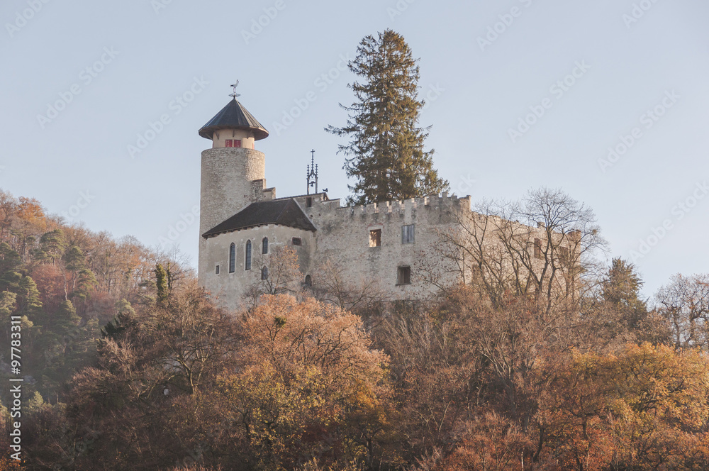 Arlesheim, Dorf, Schloss, Schloss Birseck, Birseck, Wald, Waldweg, Wintertag, Wintersonne, Baselland, Wanderung, Winter, Schweiz