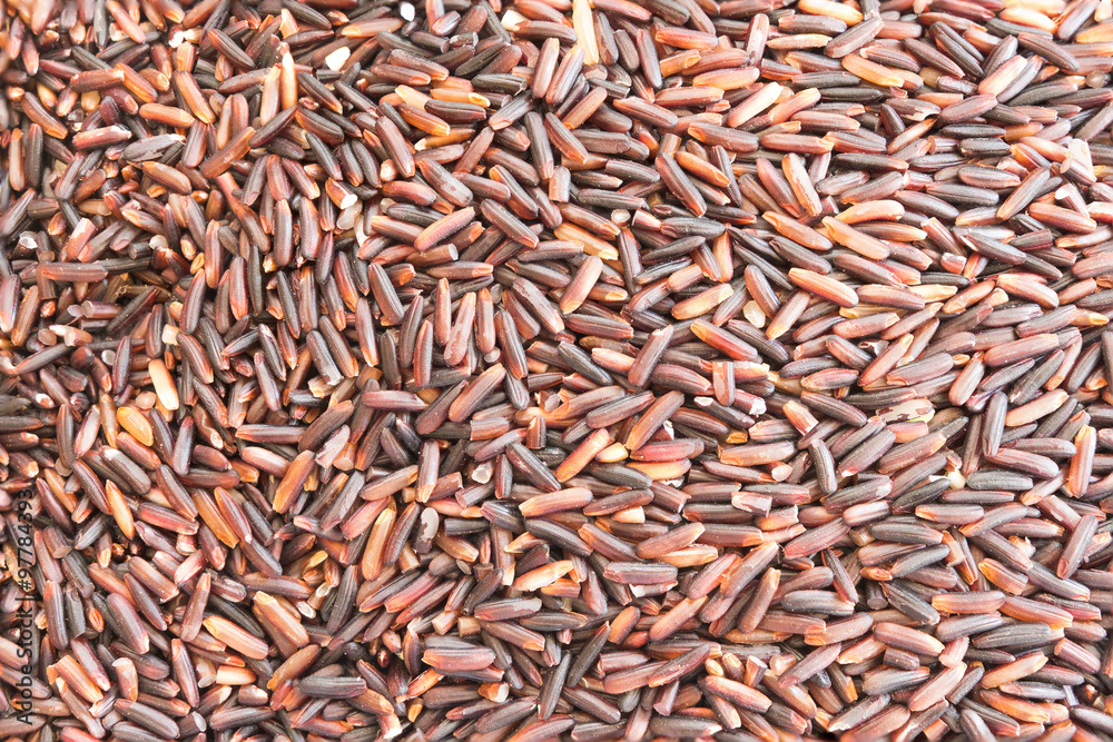 Rice berry grains Rice berry grains
