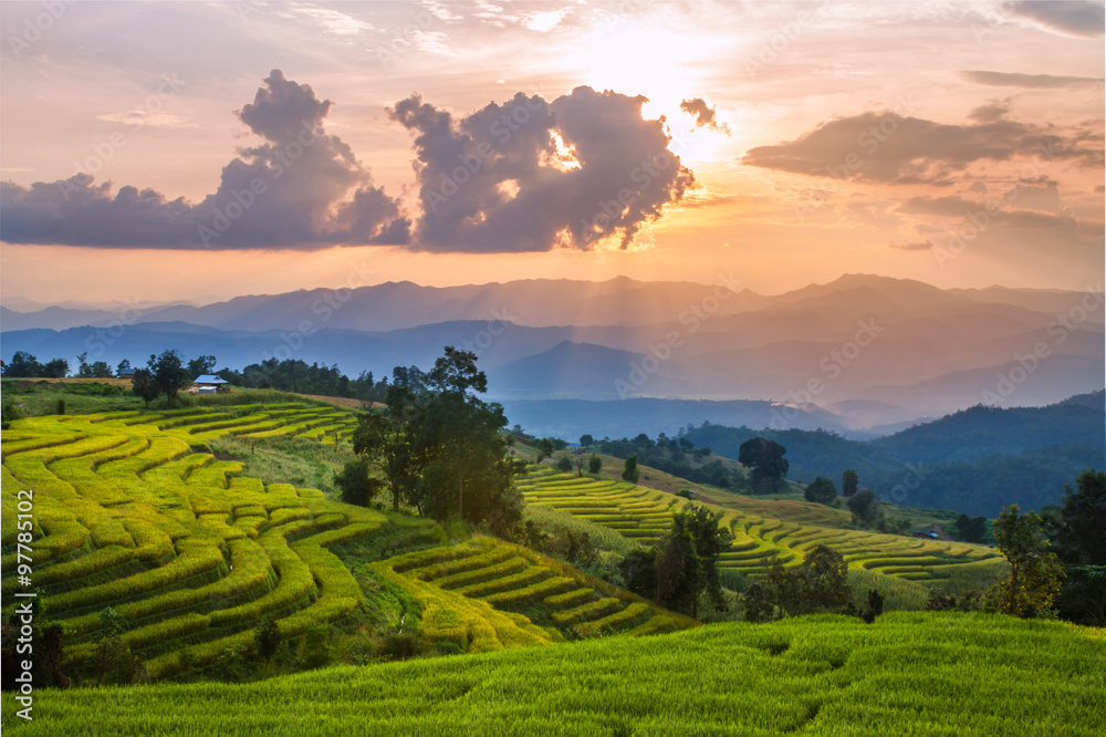Rice terraces natural scenery in Thailand.