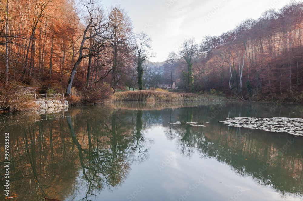 Fototapeta premium Arlesheim, Dorf, Waldweg, See, Ermitage, Seerosen, Wald, Waldspaziergang, Winter, Wintersonne, Baselland, Schweiz