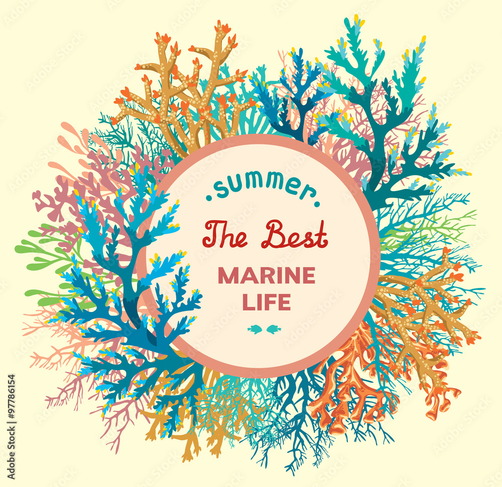 Obraz premium Underwater coral reef - marine life.