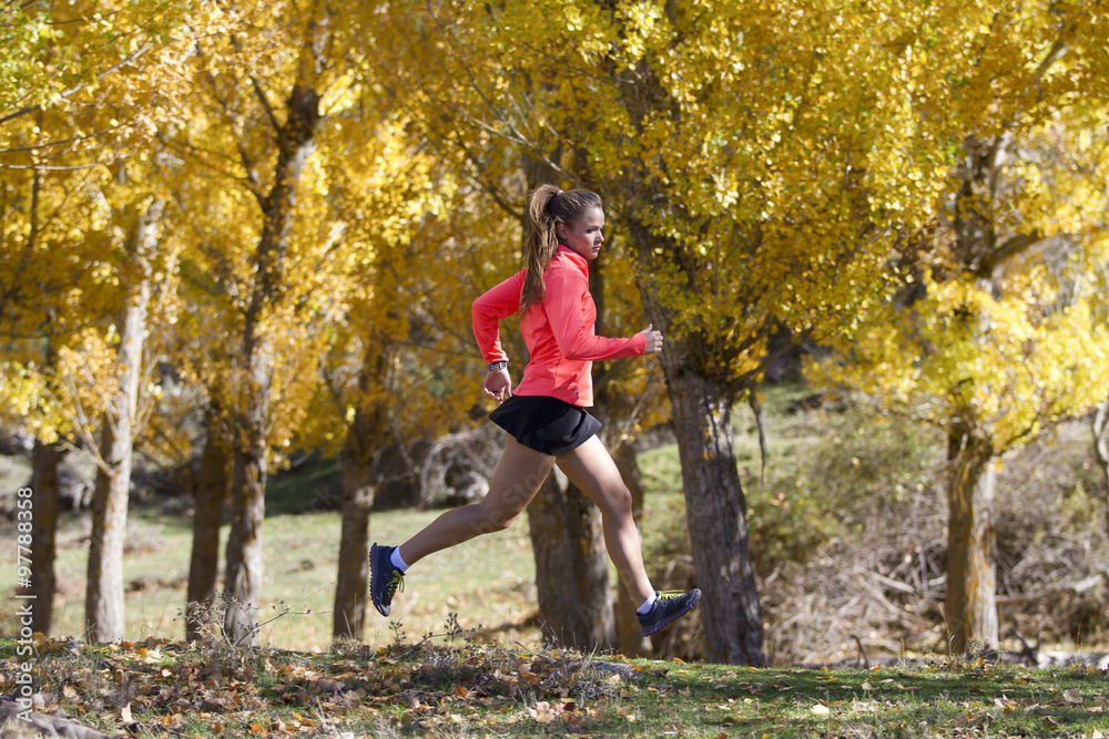 Mujer atleta corriendo en un bosque otoñal Mujer atleta corriendo en un bosque otoñal