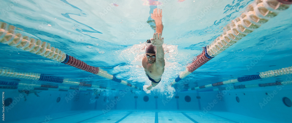Professional man swimmer inside swimming pool. Underwater panora