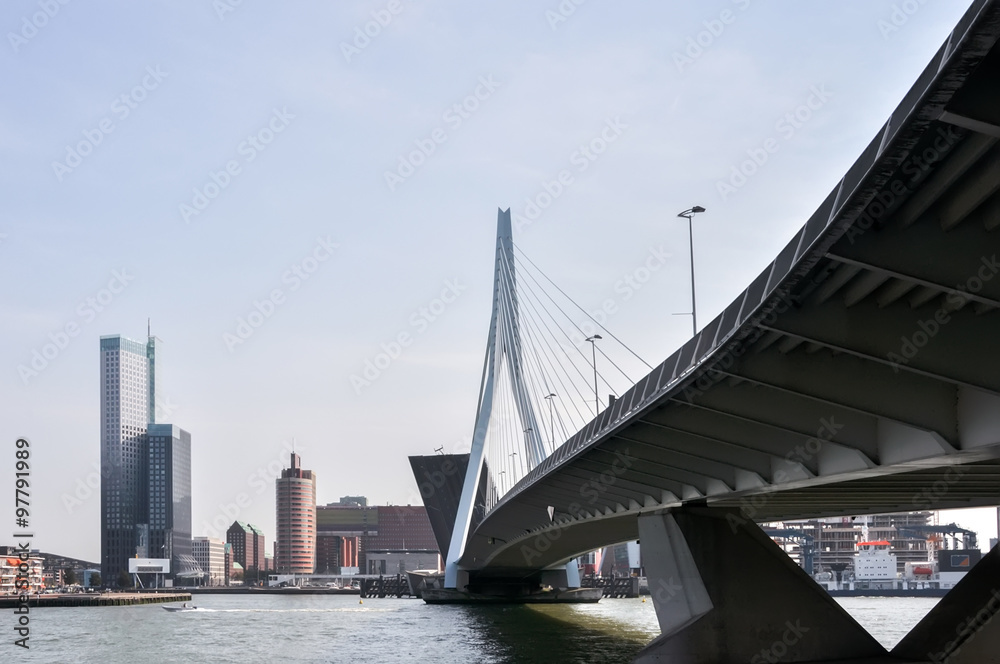 Erasmus bridge in Rotterdam Netherlands Holland