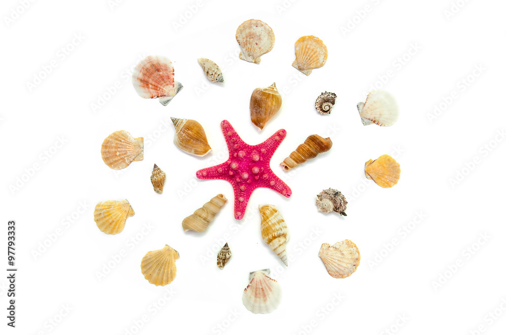 Plate full of seashells isolated on a white background Plate full of seashells isolated on a white background
