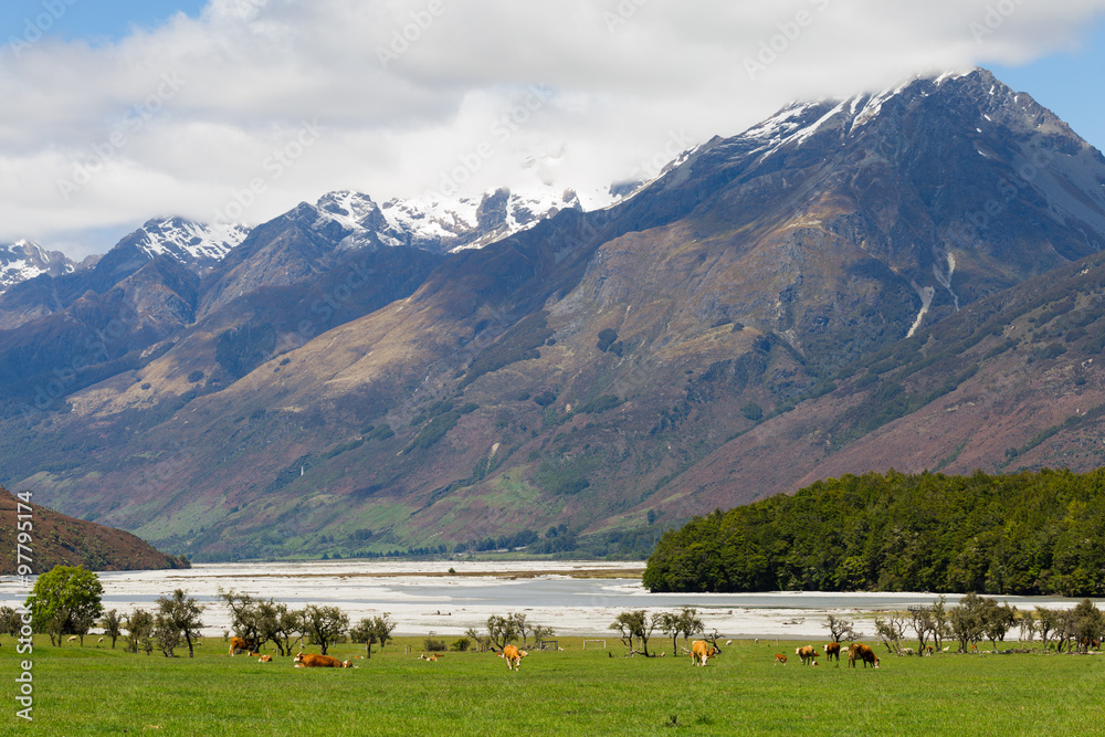 mountain landscape in New Zealand
