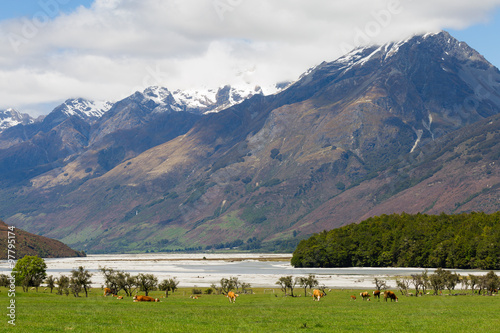 mountain landscape in New Zealand