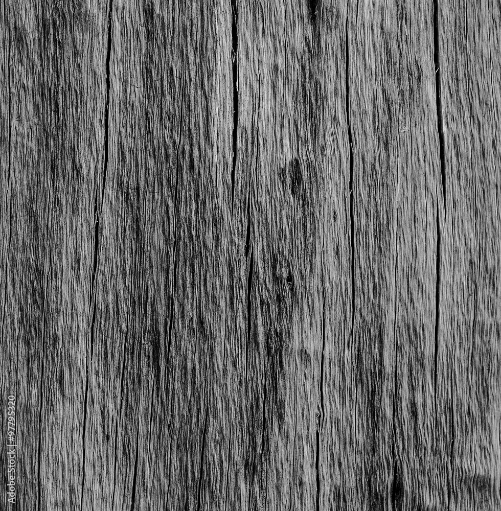 wooden background and texture, beautiful wood pattern with lines