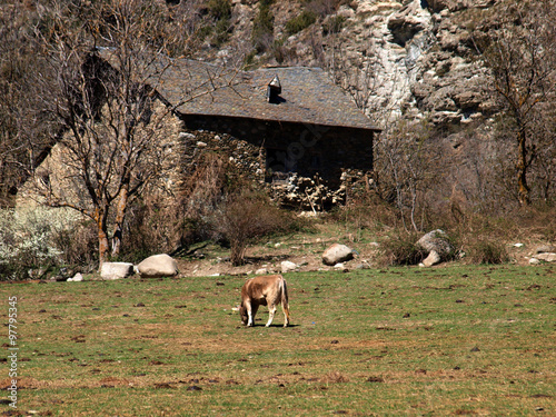 Pyrenees