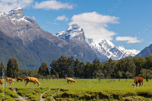 mountain landscape in New Zealand