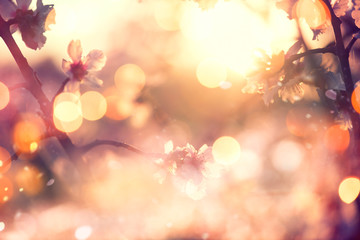 Beautiful nature scene with blooming tree and sun flare