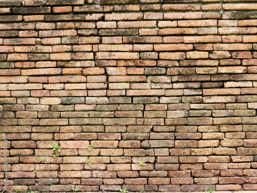 Fototapeta premium tekstura ceglany mur pełen mchu, tło architektoniczne