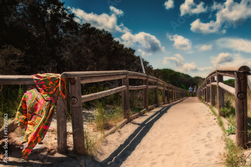 caprera sardinia Old wooden bridge on the sea beach photo