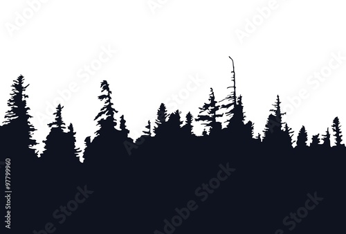 Forest silhouette