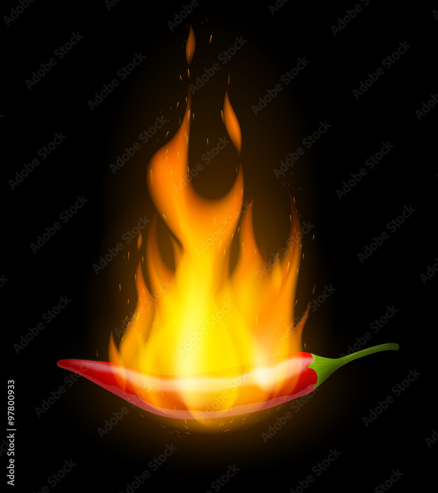 Piment et flammes vectoriels 1
