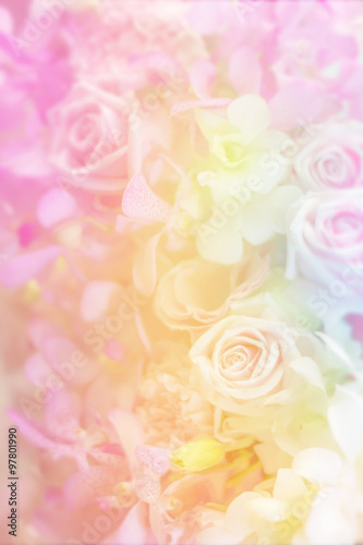 Fototapeta Naklejka Na Ścianę i Meble -  Variety flower background in pastel color