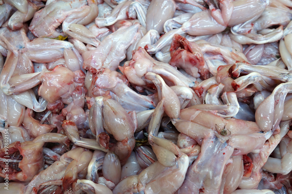 Frog meat for sale Frog meat for sale
