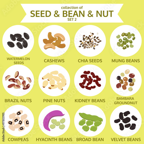 collections of seed & bean & nut set two, food, vector