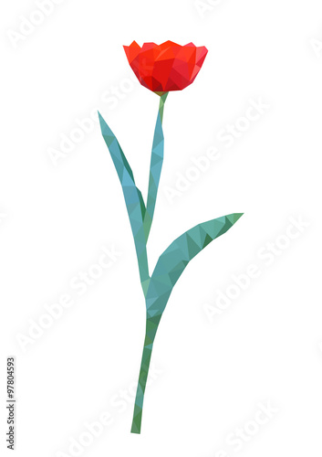 polygonal red tulip, polygon flower, isolated vector