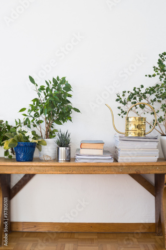 Houseplants, books, pile of journals and watering can arranged on the wooden bench